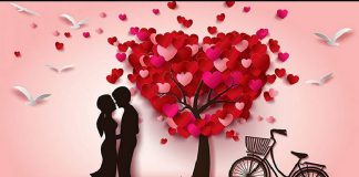 Horoskopi mujor/ Suksese të mëdha në punë e dashuri, si parashikohet shkurti për shenjat