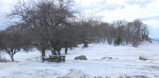 Dajti zbardhet nga dëbora/ Qytetarët ‘zhvendosen’ drejt malit, ja deri kur do të kemi temperatura të ulëta