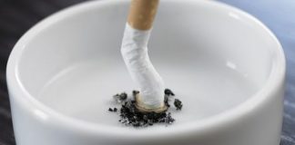 KUJDES! Vjen paralajmërimi i fortë nga ekspertët, nuk e keni idenë dë min që shka ktojnë bishtat e cigareve