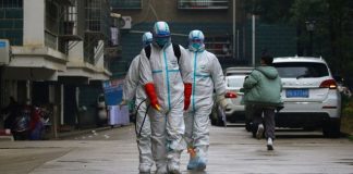 Këshillat që nuk vlejnë për korona virusin