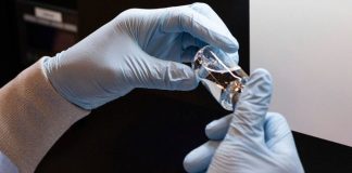 Shkencëtarët izraelitë: Ilaçi i lashtë grek parandalon vdekjet nga Covid 19!