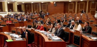 Disa sugjerime miqësore për opozitën parlamentare