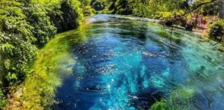 Rama uron me pamjet nga Syri i Kaltër