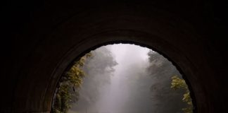 A e dini cilat janë vendet më të zgjuara në botë?