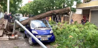Erërat e forta thyejnë pemët, dëmtohen makinat në Shkodër