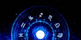 Për cilën kafshë shtëpiake do të kujdeseshe më mirë sipas shenjës së horoskopit