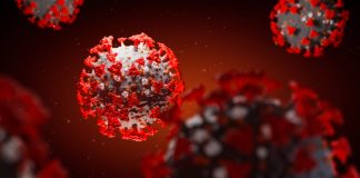 Variantet e virusit: Çfarë janë dhe përse po shohim kaq shumë tani?