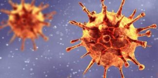 Virologu i njohur gjerman: Frika ime mbi atë që mund të ndodhë me pandeminë në pranverë dhe verë