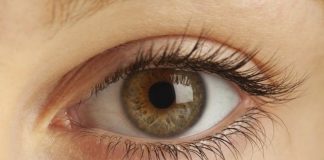 Shokuese/ Nëse ju dridhet qerpiku i syrit ju mund të…