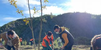 Liqeni i Fjollës, mbillen 10 mijë fidanë, Veliaj: Ne shkruajmë historinë e Tiranës së gjelbër