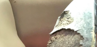 Rama publikon foton: Ai momenti kur pyet veten ça dreqin kanë këmbët që janë lagur