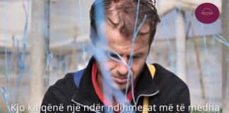 Histori suksesi/ U kthye nga emigracioni, fermeri Elvis Elezi rrëfen eksperiencën e investimit në Shqipëri