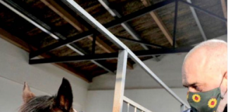 Rama publikon foton: Kali vrapon me mushkëritë, reziston me zemrën, fiton me karakterin