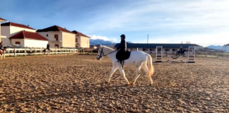 Atraksion i ri turistik në Korçë/ Falë mbështetjes së AZHBR-së vëllezërit Myrtollari hapin resortin me kuaj