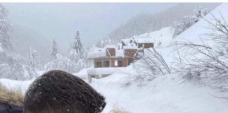 SKANDALI/ Del foto e bujshme e Teas dhe Beartit duke u puthur