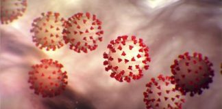 Studimi/ Virusi COVID aktivizon anti-trupat e prodhuara nga infeksionet e mëparshme të koronaviruseve