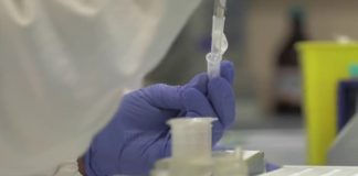 Virologia kineze: Koronavirusi është armë biologjike, ja si u krijua