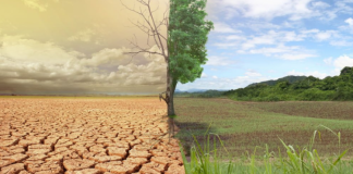 “Apokalipsi i klimës”, liderët globalë: Deri në 2030, do t`i japim fund shpyllëzimit!