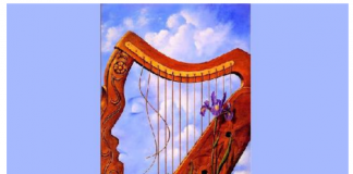 Zbulo diçka të re për veten/ Çfarë pe të parën?