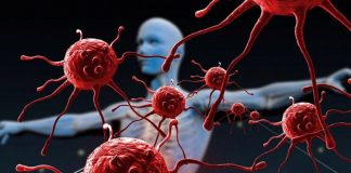 I konsumojmë çdo ditë! Ja ushqimet që mund të jenë duke dëmtuar sistemin tuaj imunitar