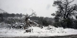 Stuhia ‘Medea’, e gjithë Greqia në alarm