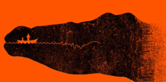 Ajo çfarë shihni në këtë foto tregon 3 karakteristika të veçanta për veten tuaj