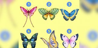 Flutura që zgjidhni mund të zbulojë anët e fshehura të personalitetit tuaj