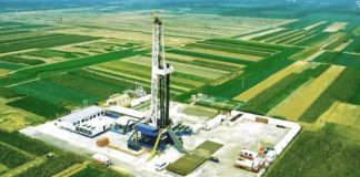 Zbulimi/ Gjenden forma jete në thellësi ku mendohej se nuk ekzistonte