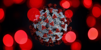 Studimi/ Këto simptoma të COVID-19 vazhdojnë deri në 9 muaj pasi e keni kaluar virusin