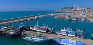 Jo vetëm port turistik, por edhe markata e peshkut/ Nga 18 milionë euro para 7 vitesh, Shqipëria sot eksporton 105 milionë euro prodhime deti