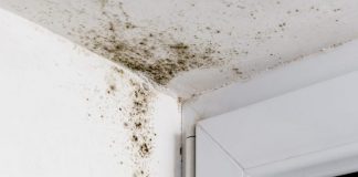 Si ta hiqni mykun nga muret e shtëpisë?