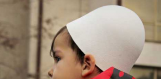 Simboli aq i dashur kombëtar i plisit