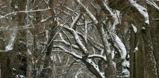 Një valë të ftohti polar godet SHBA