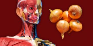 Zbuloni 7 gjërat që i ndodhin trupit tuaj nëse hani qepë më shpesh