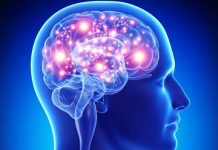 Dita Botërore e Trurit/ Mjekët tregojnë sfidat për çdo moshë, sëmundjet në rritje pas COVID-it