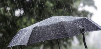 Diell dhe temperatura deri në 14 gradë Celsius, njihuni me parashikimin e motit