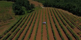 Aplikimi me zero dokumente në e-Albania për Skemat e Mbështetjes/ Hapat që ndiqen nga fermerët