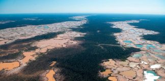 A është koha që “ekocidi” të bëhet një k rim ndërkombëtar?