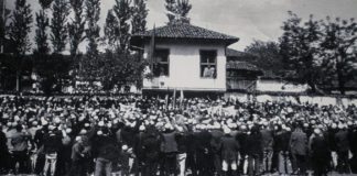 Ringjallja e lëvizjes kombëtare shqiptare dhe roli i intelektualëve