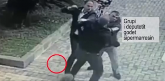 Si u katandis një pedagog universitar në shitës peshku