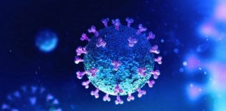 Bilanci i Covid 19/ Mbi 2.5 milionë humbje jete në të gjithë botën