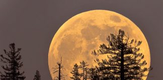 Spektakël qiellor në orët e vona, sonte është nata e “Superhënës”