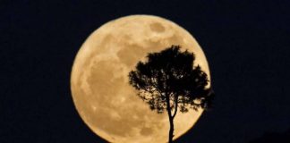 Rusia dhe Kina projektojnë një stacion hënor