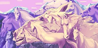 Sa kuaj shihni në foto? Përgjigjia zbulon shumë për personalitetin tuaj