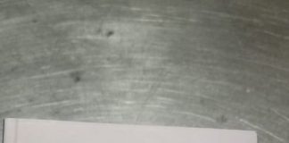 Lulzim Basha kopjon Ramën, boton libër para fushatës