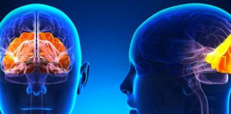 A e dini cilat janë rreziqet shëndetësore që shkaktohen nga dhimbjet e kokës?