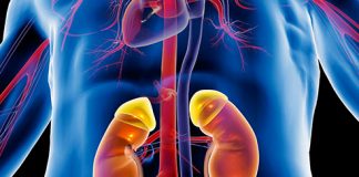 Njihuni me 8 ushqimet që dëmtojnë veshkat dhe që duhet t’i shmangni