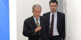 Njëri Oso Kukë, tjetri Piter Pan, dy bashkëpengjet nga PD-ja yrysh Amerikës