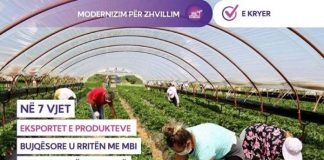Rritje e eksporteve bujqësore nga 400 milionë në 1,2 miliard dollarë në 2025