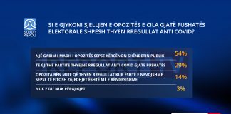 Sondazhi/ Mitingjet e Bashës për fushatë, 54% e shqiptarëve: Po kërcënon shëndetin publik!
